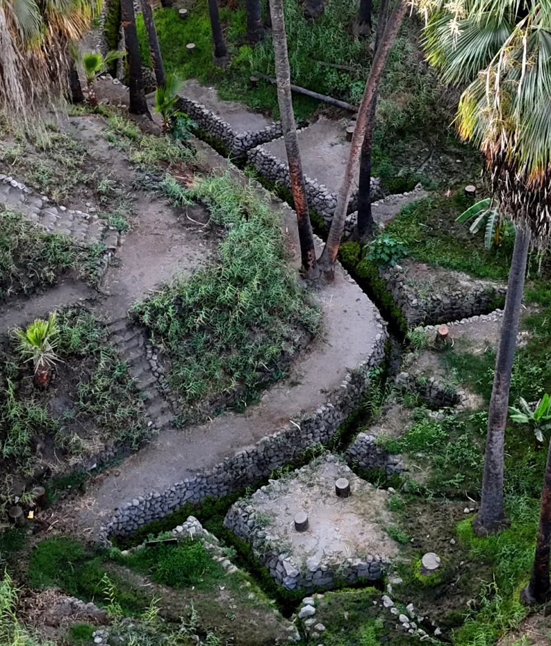 zona de brote de agua