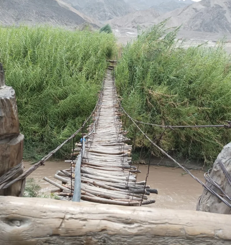 Puente estrecho de madera y cables sobre un cauce, rodeado de vegetación.