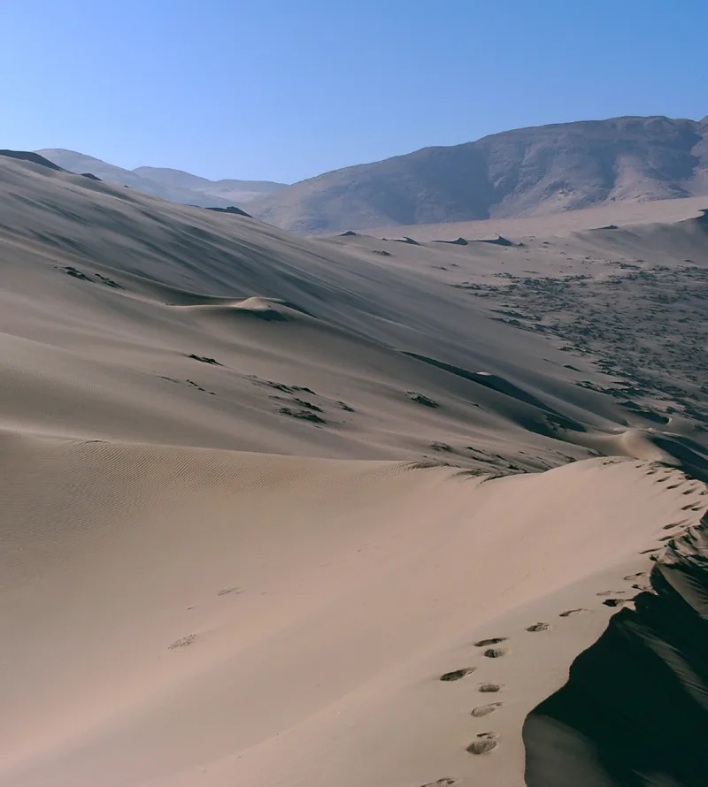 Crestas de arena, huellas sobre una duna y cerros áridos al fondo.