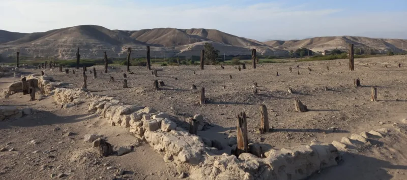 Panorámica de postes de huarango y plataformas de adobe en La Estaquería.