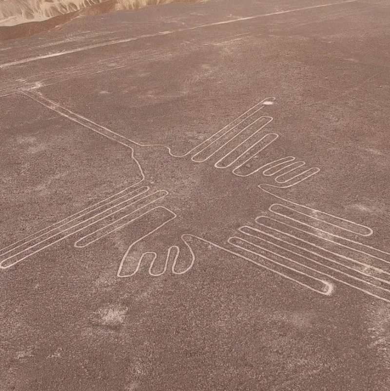 Trazos de un ave de pico largo sobre el desierto, en una vista aérea.