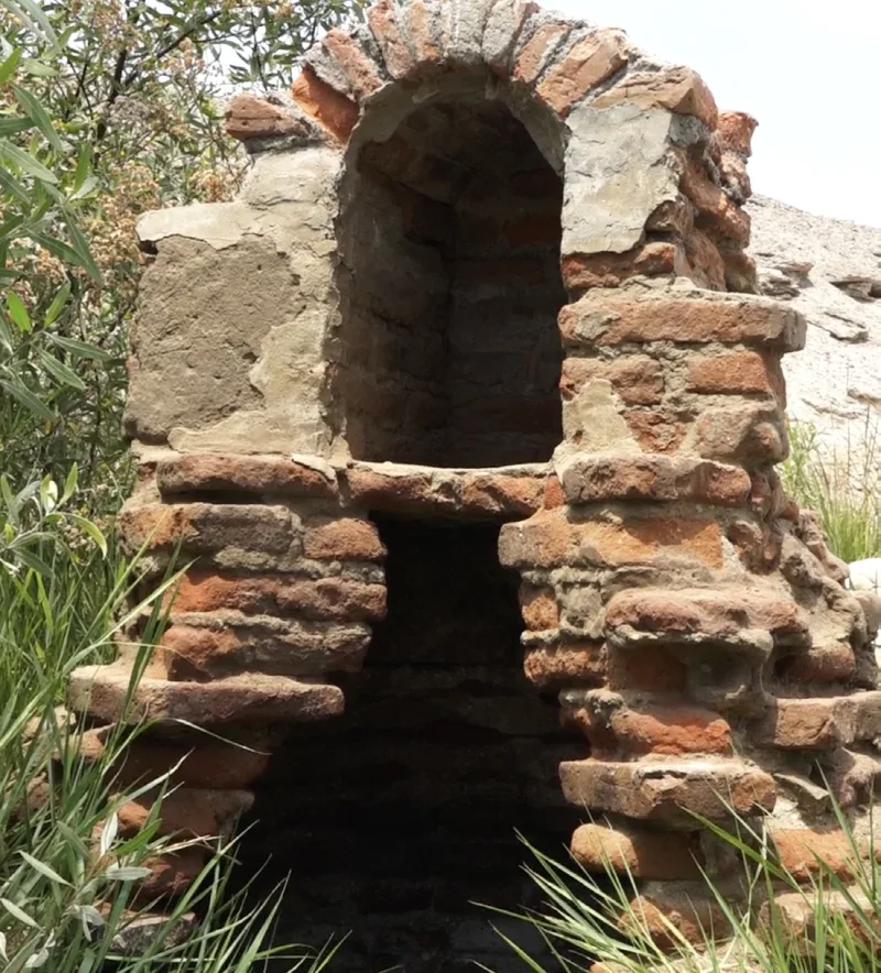 Estructura de ladrillo con una abertura en arco junto a plantas y vegetación.