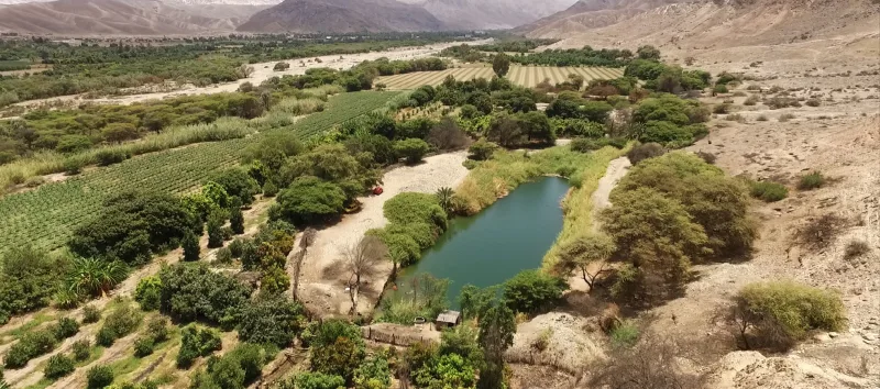 Vista aérea de una poza, árboles y campos agrícolas de San Pablo.