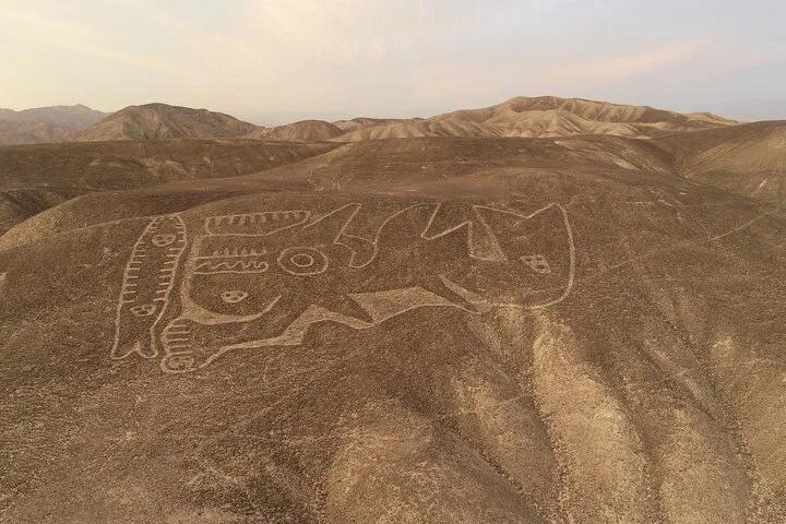 Geoglifos sobre una ladera árida con cerros al fondo.