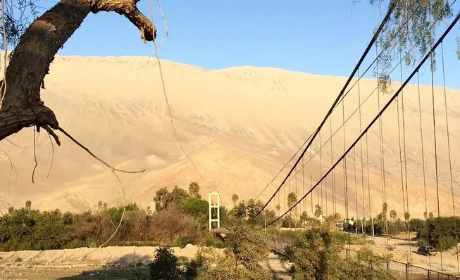 Gran ladera de arena junto a un valle con vegetación y un puente colgante en primer plano.